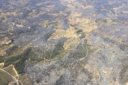 En aquesta vista áerea dels Agents Rurals es pot veure com camps conreats s’han salvat.