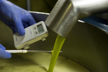 Toma de temperatura del aceite de oliva durante la producción.