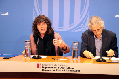 Teresa Jordà i Oriol Anson van presentar l’informe ahir a Barcelona.