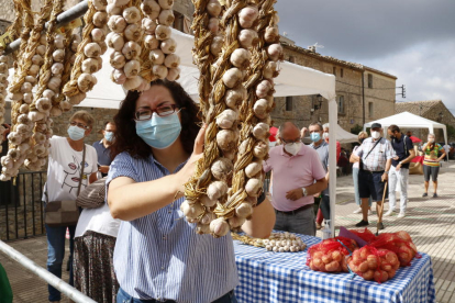 Belltall exhaureix tots els alls en la represa de la festa d'aquest cultiu de secà