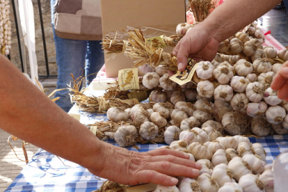 Belltall agota todos los ajos en la recuperación de la fiesta de este cultivo de secano