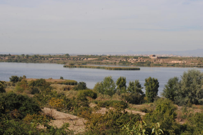 L’estany, vist des del mirador d’Ivars d’Urgell.