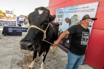 Una de las múltiples protestas por el precio de la leche.