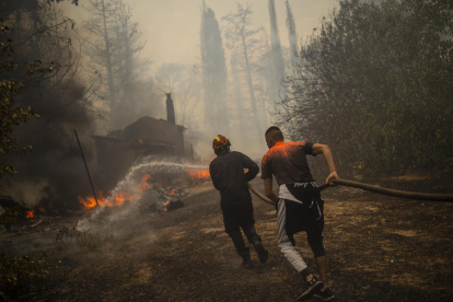 Efectius d’emergències proven de sufocar incendis a Califòrnia (a dalt), a Grècia (a la dreta i a dalt) i a Turquia (a la dreta i a baix).