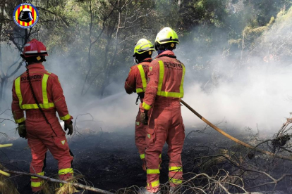 Efectius d’emergències proven de sufocar incendis a Califòrnia (a dalt), a Grècia (a la dreta i a dalt) i a Turquia (a la dreta i a baix).