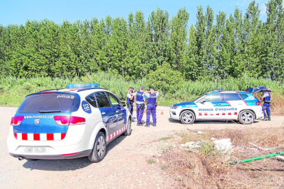 Agentes de los Mossos d’Esquadra durante el operativo policial llevado a cabo ayer en la partida de Grenyana, en Alcoletge. 