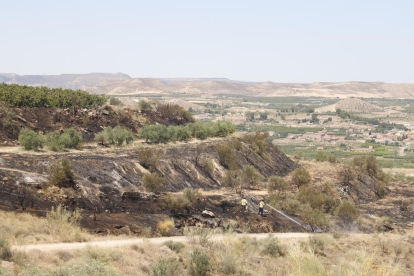 Bomberos sofocando el incendio de Seròs, que afectó 7 hectáreas. 