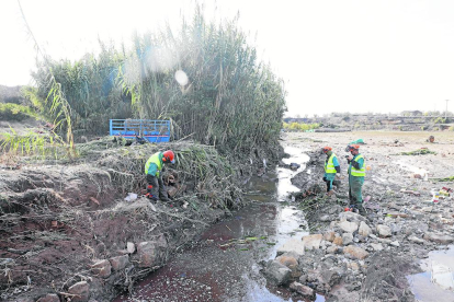 Imagen de los operarios de la CHE trabajando ayer para reparar las obstrucciones en el caudal del río en L’Albi tras las inundaciones. 
