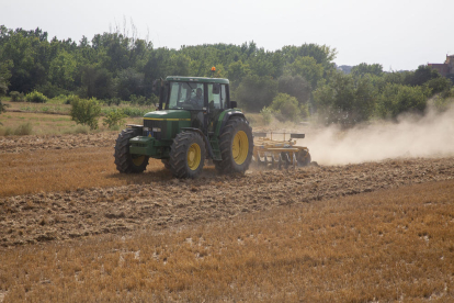 Llamamiento a la agricultura para crear cortafuegos  -  La Generalitat hizo ayer un llamamiento a las entidades agrarias para que labren los campos de cereal de manera perimetral, con el fin de crear franjas de protección que actúen a modo de cor ...