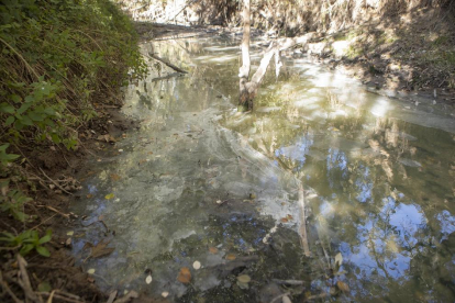 La sequía convierte la Riera de Llanera en un desagüe de aguas fecales 
