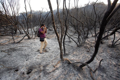 L'incendi de Sierra Bermeja segueix sense control i ja crema 3.600 ha