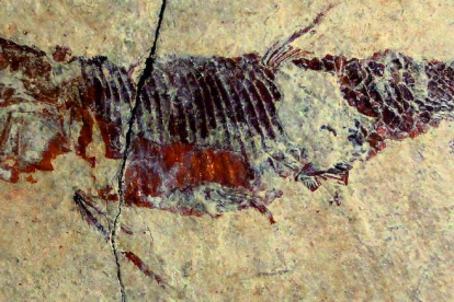 Recreación del paleoambiente del Triásico en la zona de Odèn.