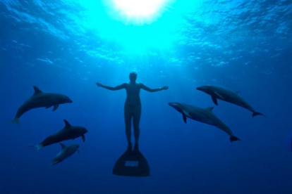 ‘The Cove’ es un premiado documental sobre la matanza periódica de delfines en Japón.