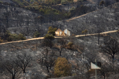 El fuego ha arrasado todo a su paso, como muestra esta imagen captada en Estepona.