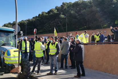 Una sesentena de vehículos recorrieron el centro de Lleida para exigir ayudas directas  a los olivos.