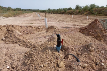 Una finca de Castelldans ja preparada per regar des del canal Segarra-Garrigues.