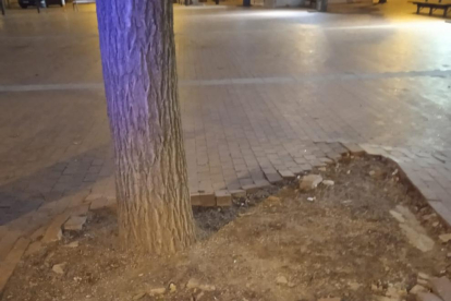 Estat del paviment de la plaça de Sant Pere d’Alfarràs.