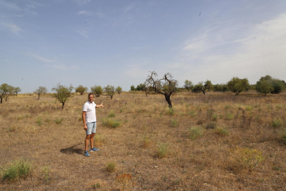 L'allau de projectes per a centrals eòliques i solars a Lleida passa a ser un degoteig