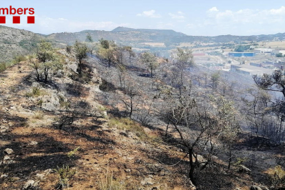 Imatge del foc d’ahir a Artesa de Segre, en el qual van treballar una desena de mitjans.