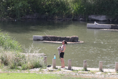 Un jove refrescant-se ahir al riu Segre a Lleida.
