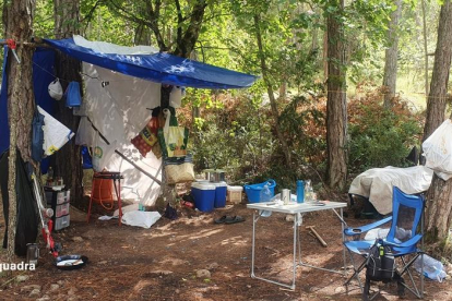 També hi havia un campament equipat amb un fogó de gas, estris de cuina i altres objectes on els cuidadors de la plantació podien menjar.
