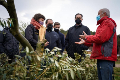 La consellera Jordà en un momento de la visita en una finca de olivo a Vinaixa.