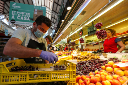 Imatge d’una parada de fruita en l’inici de la campanya de cireres i albercocs aquest estiu.