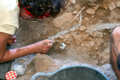 Encuentran una homo sapiens de 14.000 años de antigüedad en la Noguera
