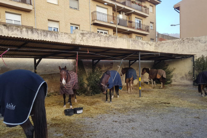 Los primeros caballos de turistas alojados esta semana en el hostal Jaumet de Torà.