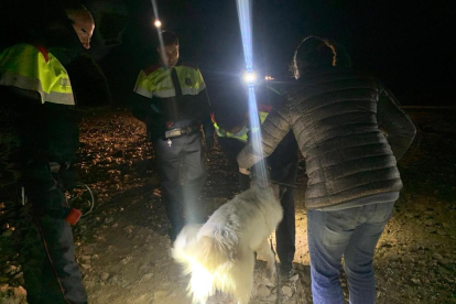 Mossos amb el gos rescatat al pantà de Sant Antoni.