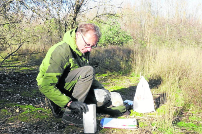 El zorro, un pequeño depredador cuya caza se prohíbe allí donde hay cacerías para evitar la proliferación de conejos.