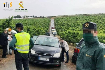 Agents en una inspecció en una finca agrícola de Lleida.