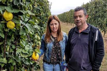 Pilar Martínez i Isaac Castelló fa gairebé tres anys que van posar en marxa Licors Quevall.