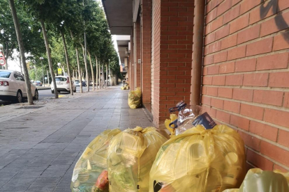 Bolsas de basura en la avenida Corregidor Escofet, en Pardinyes.
