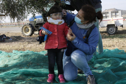 Biel i Jordi, dos camperols que van ensenyar a famílies com es recollien olives antany a Arbeca.