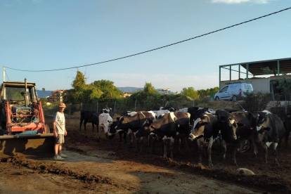 El ramader Manel Olsina, a la seua explotació de boví de llet, a Tremp.