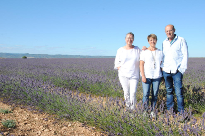 Isabel Blanch, Sumpta Orteu y Ramon Blanch, en la plantación de lavanda Tossal Blau. 