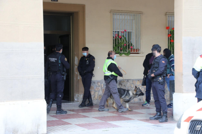 En el operativo también participaron perros adiestrados en la búsqueda de drogas y dinero. 
