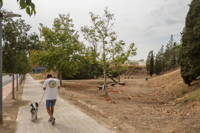 El lugar que acogerá el nuevo parque para perros.