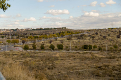 Vista d'arxiu dels terrenys de Torre Salses, ubicats entre els Magraners i la Bordeta.