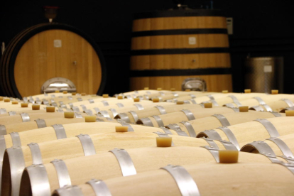 Botas de vino en la bodega Cérvoles de la Pobla de Cérvoles, incluida a la DO Costers del Segre.