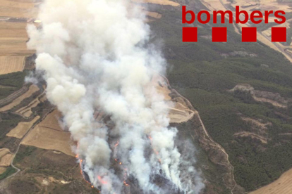 Estabilitzat l'incendi originat a Alfarràs i que ha cremat 55 hectàrees de Catalunya i l'Aragó