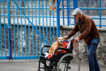 Un hombre pasea a su perro junto a una residencia de ancianos.