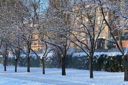 El temporal deja hasta 50 centímetros de nieve en el Pirineo