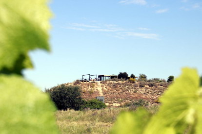 La bodega Raimat abre al público 700 hectáreas de espacio natural protegido donde viven más de un centenar de especies