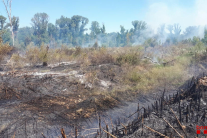 Imatge de la burilla localitzada pels Rurals als marges de l’N-230 on es va iniciar el foc.