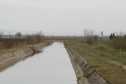 El canal d’Aragó i Catalunya, per on ahir circulaven 10 metres cúbics per segon, a Raimat.