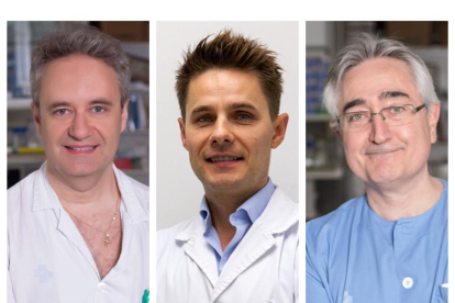 Els doctors premiats de l’Arnau de Vilanova Daniel Lacasta, Mindaugas Gudelis i Javier Trujillano.