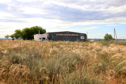Vista del tomillar de Alfés con las instalaciones del aeródromo abandonado en 2015 al fondo.