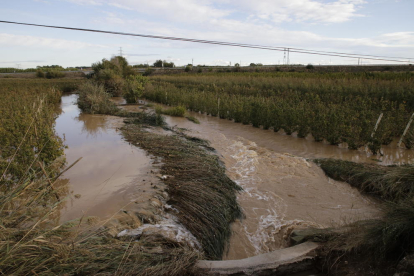 Fruiters de l’Horta de Lleida en les inundacions del 2019.